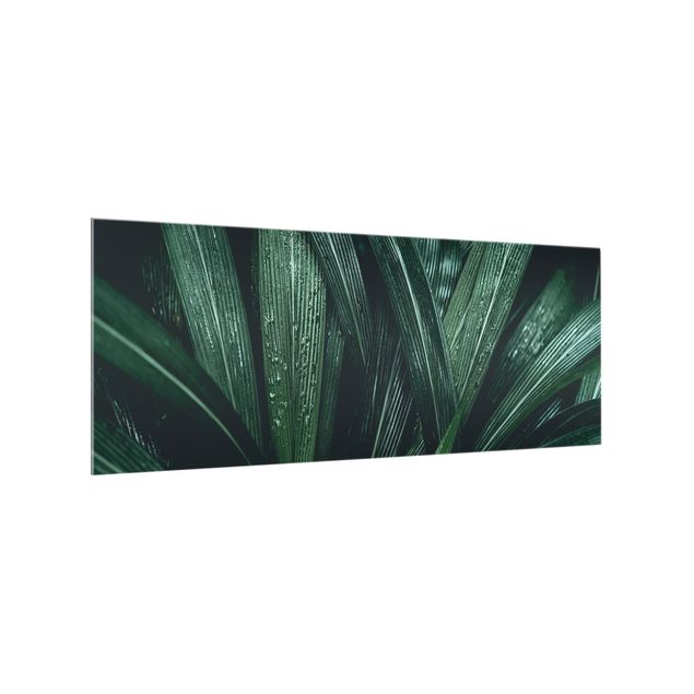 Spritzschutz Glas - Grüne Palmenblätter - Panorama - 5:2