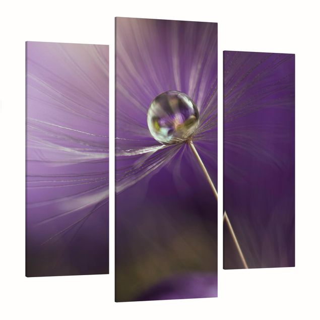 Leinwandbild 3-teilig - Pusteblume in Violett - Galerie Triptychon