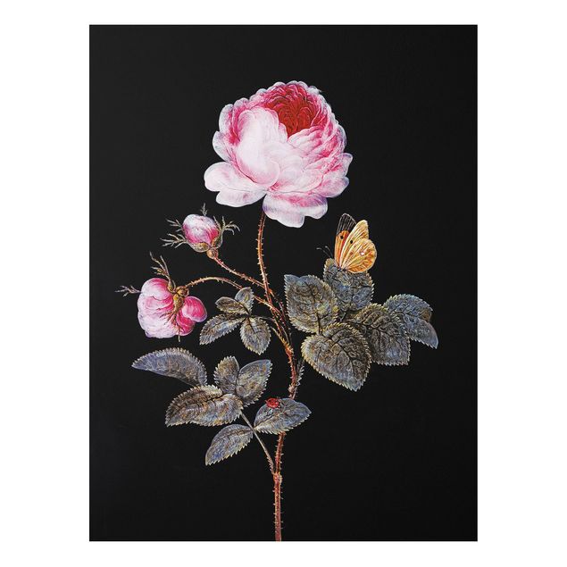 Forex Fine Art Print - Barbara Regina Dietzsch - Die hundertblättrige Rose - Hochformat 4:3