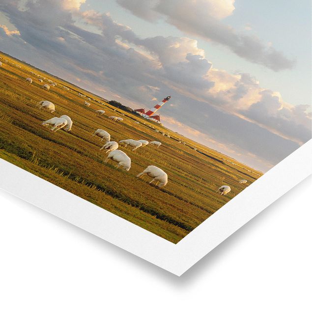 Poster - Nordsee Leuchtturm mit Schafsherde - Querformat 2:3