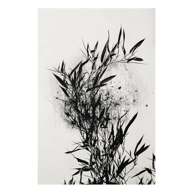 Forex Fine Art Print - Grafische Pflanzenwelt - Schwarzer Bambus - Hochformat 3:2
