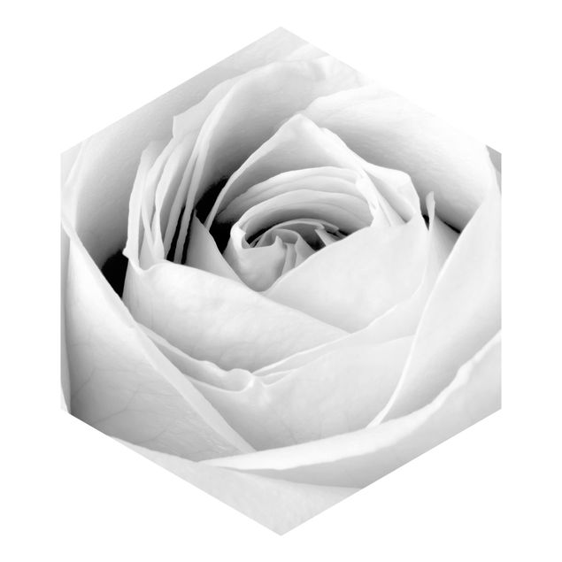 Hexagon Mustertapete selbstklebend - Close Up Rose