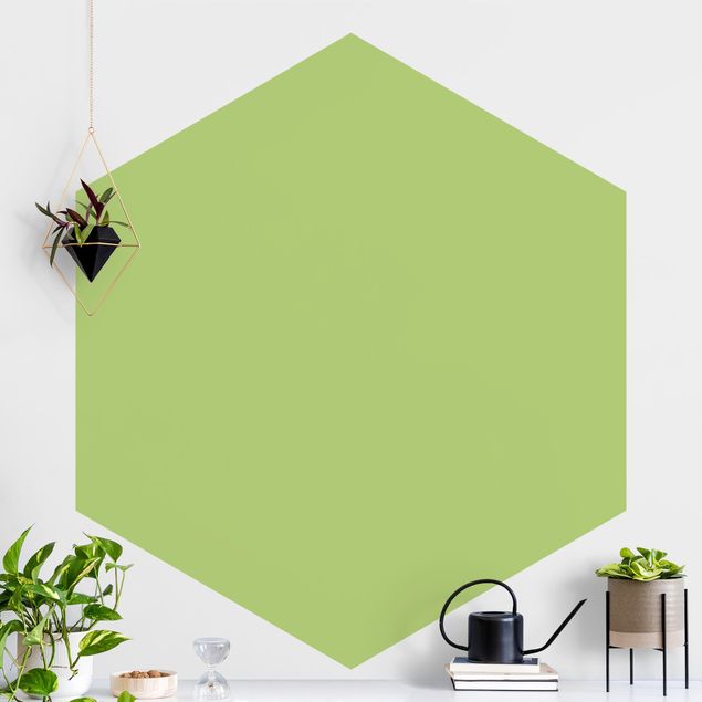 Hexagon Mustertapete selbstklebend - Colour Spring Green