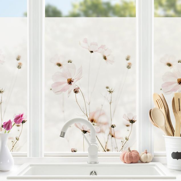 Fensterfolie - Sichtschutz - Cosmea in zarten Cremetönen - Fensterbilder