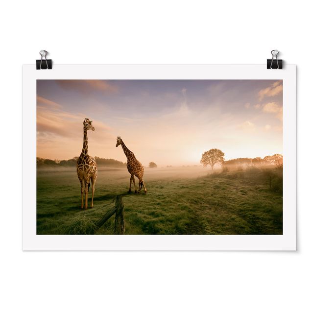 Poster - Surreal Giraffes - Querformat 2:3