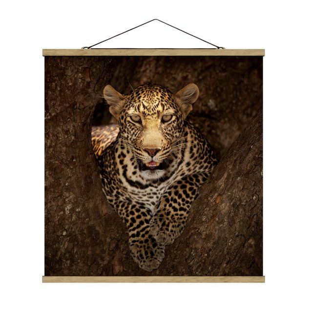 Stoffbild mit Posterleisten - Leopard ruht auf einem Baum - Quadrat 1:1