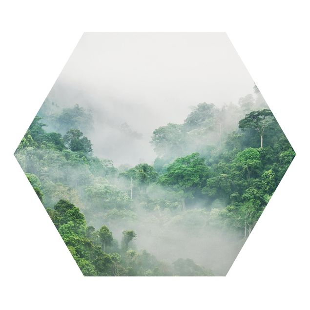 Hexagon Bild Forex - Dschungel im Nebel
