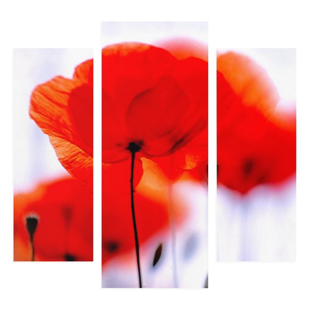 Leinwandbild 3-teilig - Magic Poppies - Galerie Triptychon