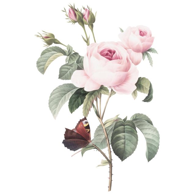 Blumen Wandtattoo Vintage Illustration Rosen mit Pfauenauge XXL