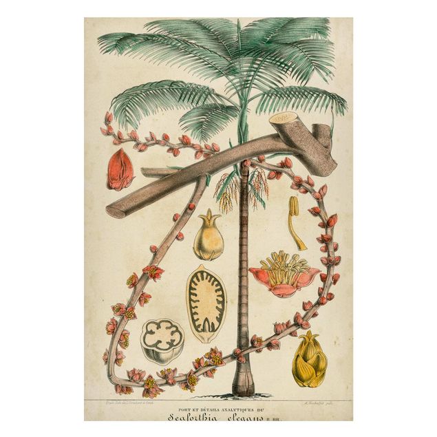 Magnettafel - Vintage Lehrtafel Exotische palmen II - Memoboard Hochformat 3:2