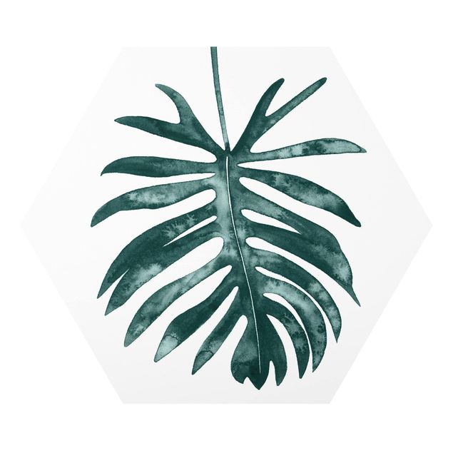 Hexagon Bild Forex - Smaragdgrüner Philodendron Angustisectum
