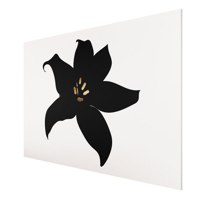 Forex Fine Art Print - Grafische Pflanzenwelt - Orchidee Schwarz und Gold - Querformat 2:3