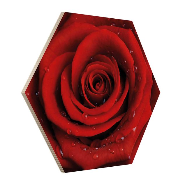 Hexagon Bild Holz - Rote Rose mit Wassertropfen