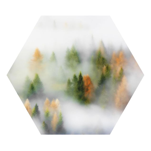 Hexagon Bild Forex - Nebelwald im Herbst