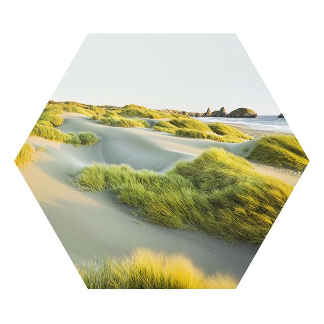 Hexagon Bild Forex - Dünen und Gräser am Meer