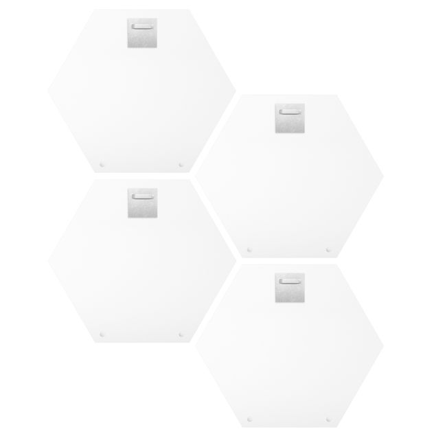 Hexagon Bild Alu-Dibond 4-teilig - Jonas Loose - Giraffen Dino Kakadu Sport Set II