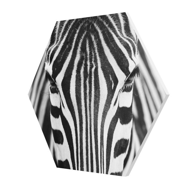 Hexagon Bild Forex - Zebra Look