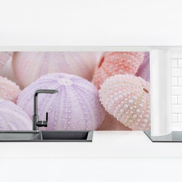 Küchenrückwand - Seeigel in Pastell