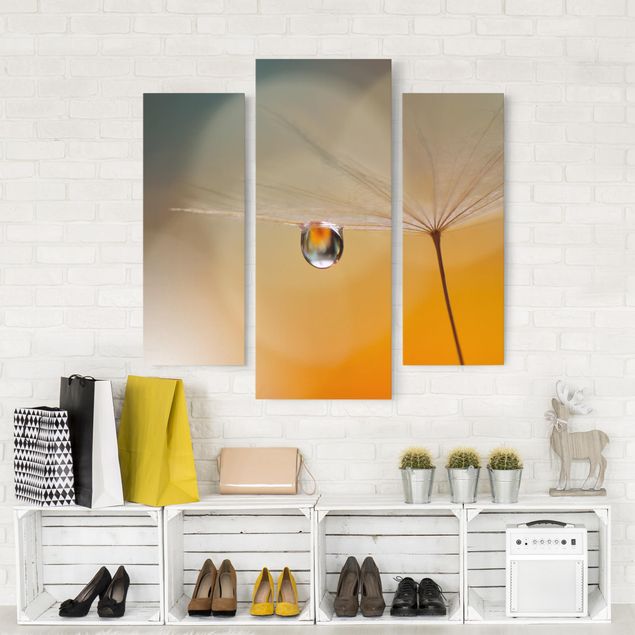 Leinwandbild 3-teilig - Pusteblume in Orange - Galerie Triptychon