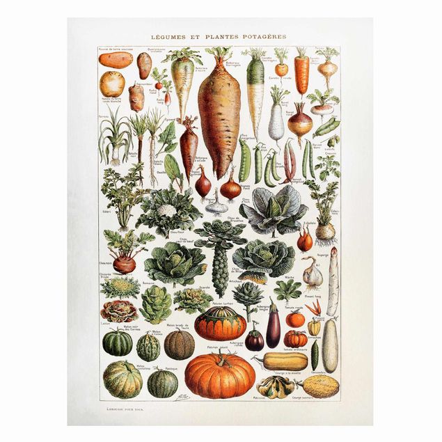 Magnettafel - Vintage Lehrtafel Gemüse - Memoboard Hochformat 4:3