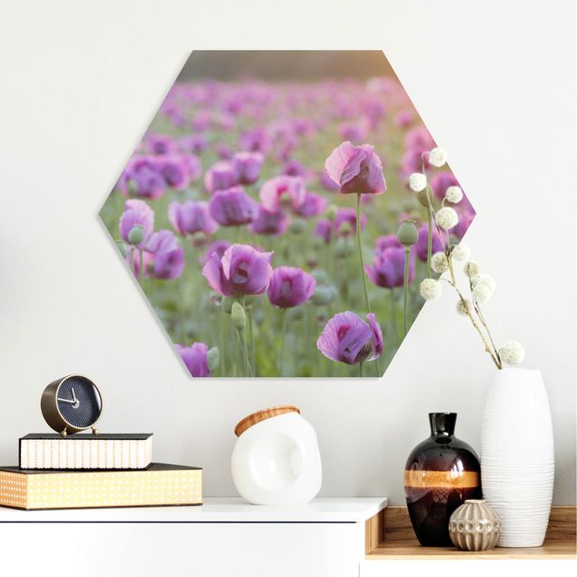 Hexagon Bild Forex - Violette Schlafmohn Blumenwiese im Frühling