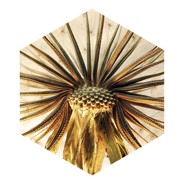 Hexagon Mustertapete selbstklebend - Dandelion Close Up