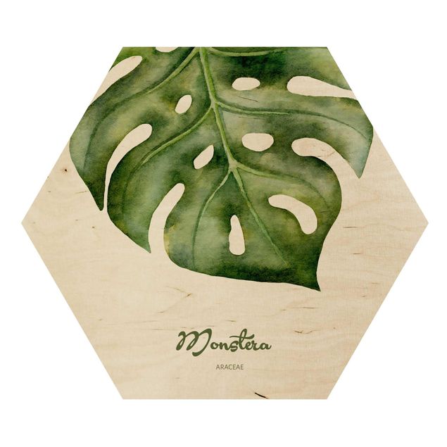 Hexagon Bild Holz - Aquarell Botanik Monstera