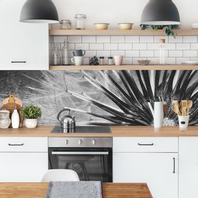 Küchenrückwand - Pusteblume Schwarz & Weiß