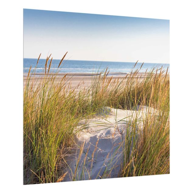 Glas Spritzschutz - Stranddüne am Meer - Quadrat - 1:1