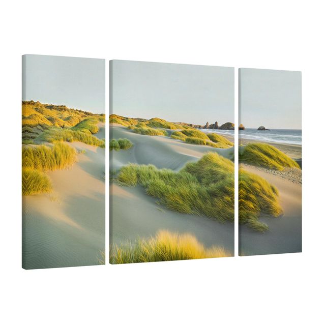 Leinwandbild 3-teilig - Dünen und Gräser am Meer - Triptychon