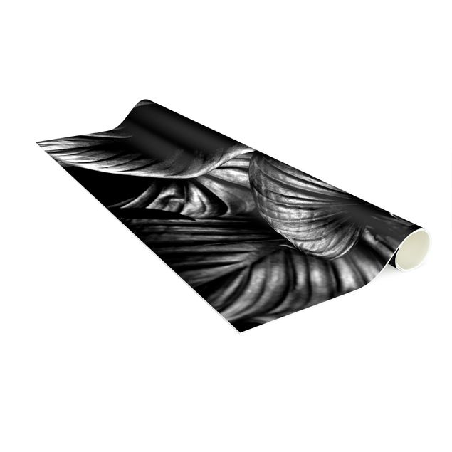 Teppich schwarz-weiß Schwarz Weiß Botanik Hosta