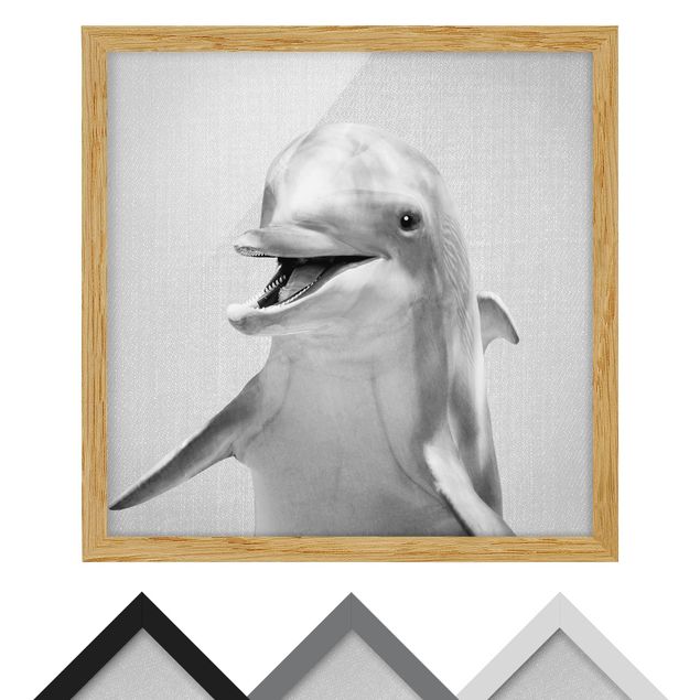 Bild mit Rahmen - Delfin Diddi Schwarz Weiß - Quadrat - 1:1