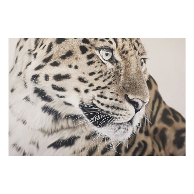 Glasbild - Der Leopard - Querformat 3:2