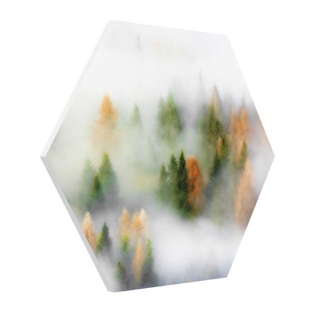 Hexagon Bild Forex - Nebelwald im Herbst