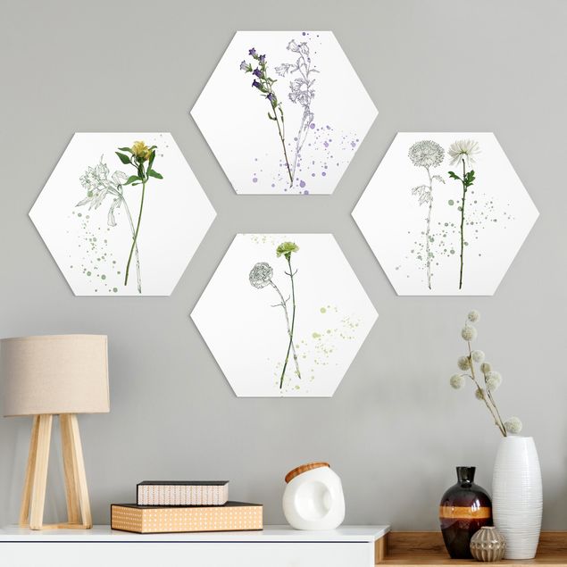 Hexagon Bild Alu-Dibond 4-teilig - Botanisches Aquarell Set I