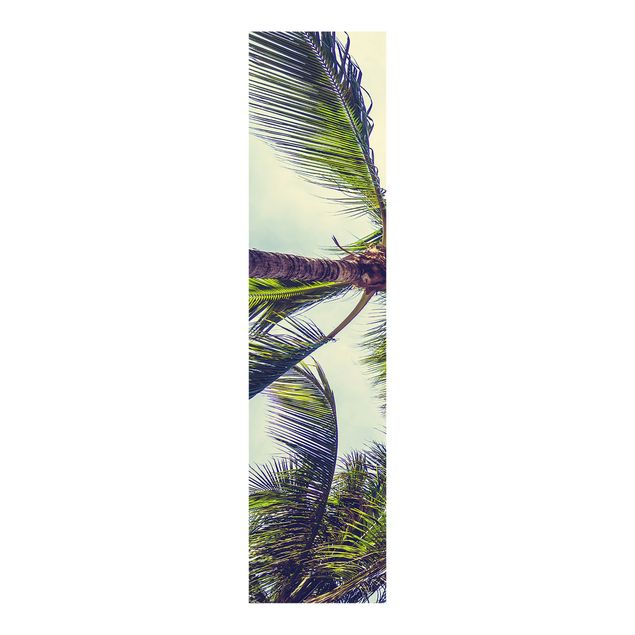 Schiebegardinen Set - Die Palmen - Flächenvorhang