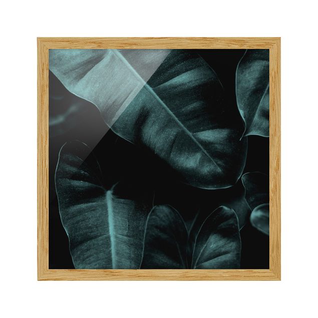 Bild mit Rahmen - Dschungel Blätter Dunkelgrün - Quadrat