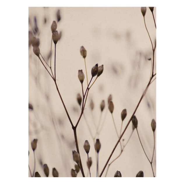 Leinwandbild Natur - Dunkle Knospen am Wildblumenzweig - Hochformat 3:4