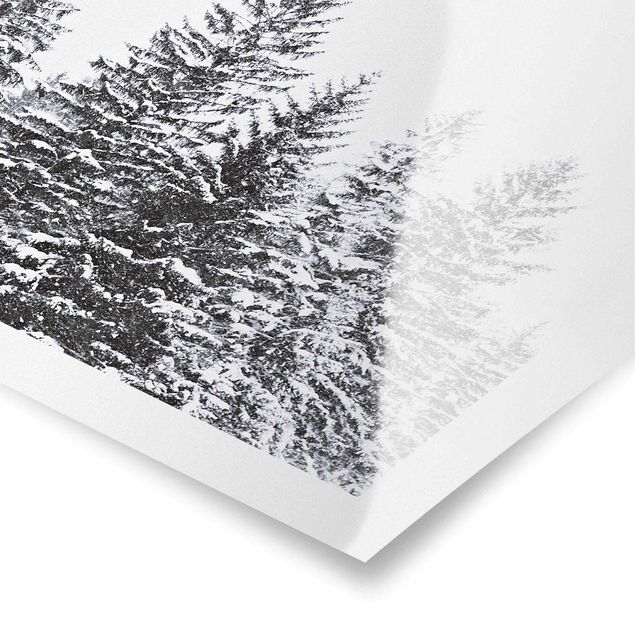Poster - Dunkle Winterlandschaft - Quadrat 1:1