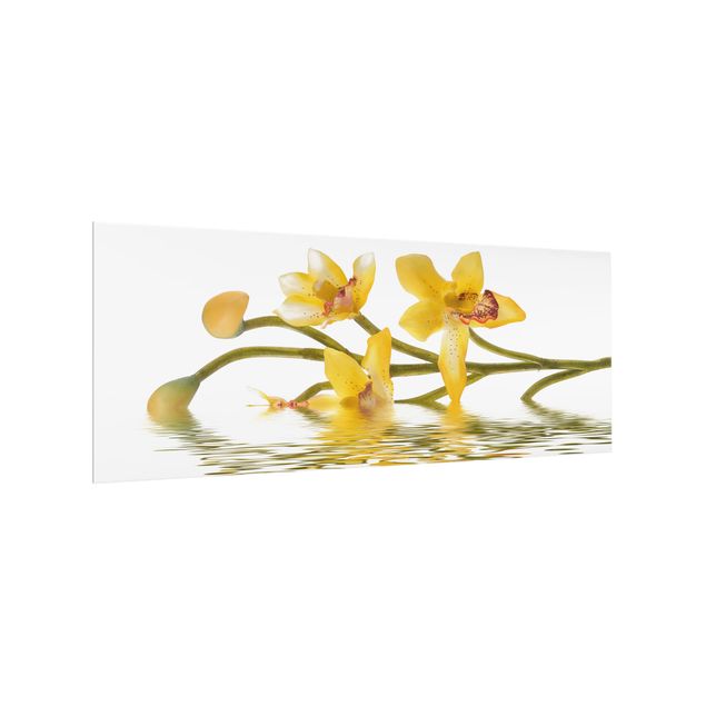 Spritzschutz Glas - Saffron Orchid Waters - Panorama - 5:2