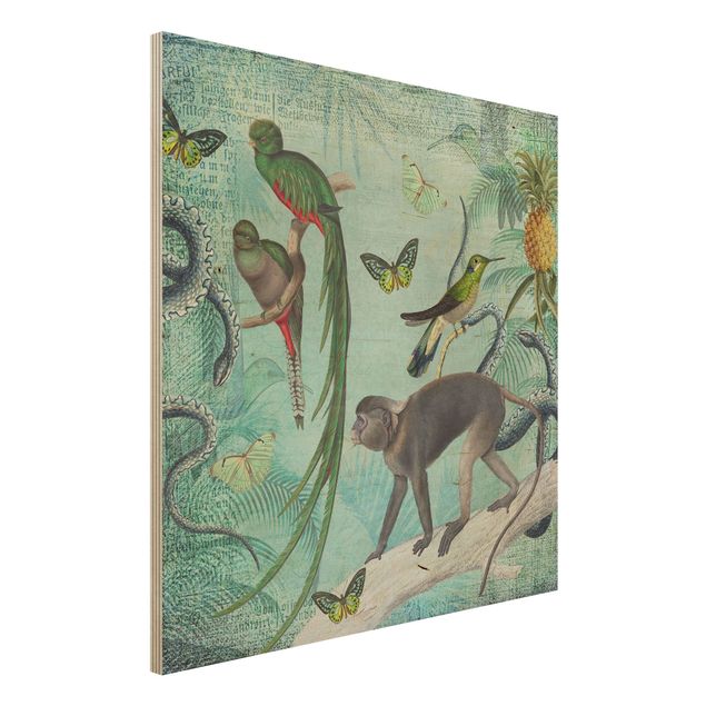 Holzbild - Colonial Style Collage - Äffchen und Paradiesvögel - Quadrat 1:1
