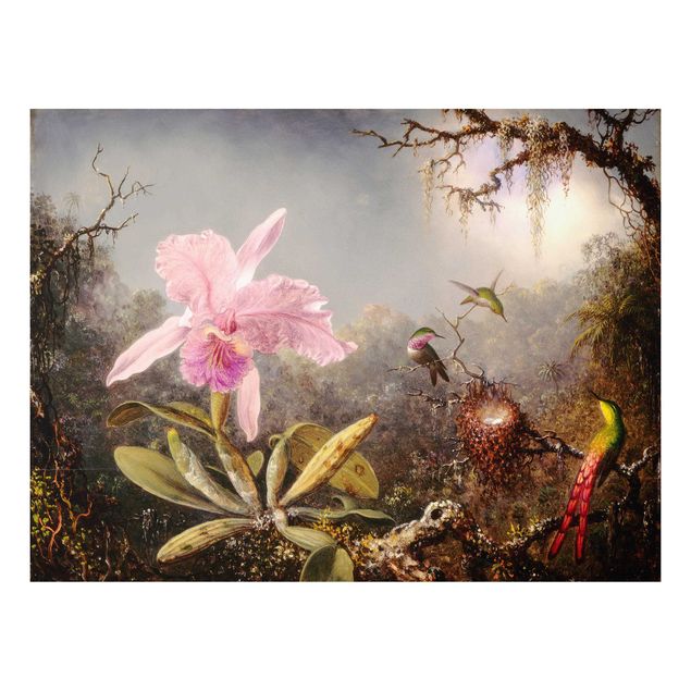 Forex Fine Art Print - Martin Johnson Heade - Orchidee und drei Kolibris - Querformat 3:4
