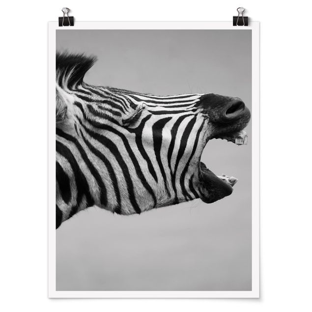 Poster - Brüllendes Zebra II - Hochformat 3:4