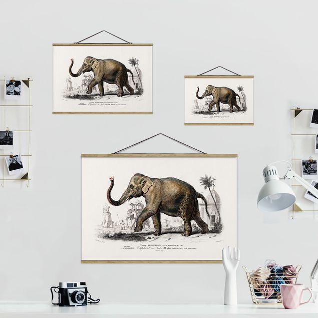 Stoffbild mit Posterleisten - Vintage Lehrtafel Elefant - Querformat 3:2