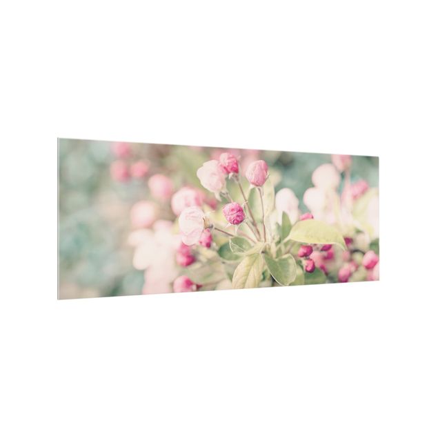 Spritzschutz Glas - Apfelblüte Bokeh rosa - Panorama