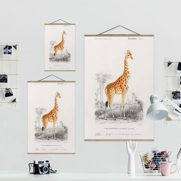 Stoffbild mit Posterleisten - Vintage Lehrtafel Giraffe - Hochformat 2:3