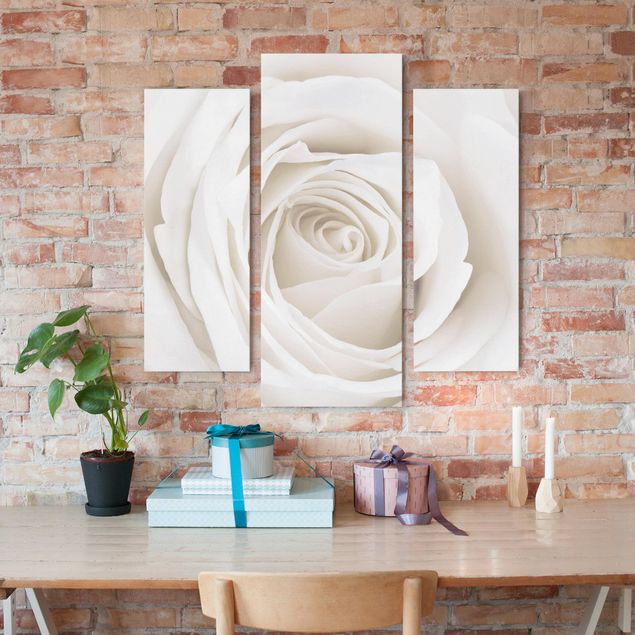 Leinwandbild 3-teilig - Pretty White Rose - Galerie Triptychon