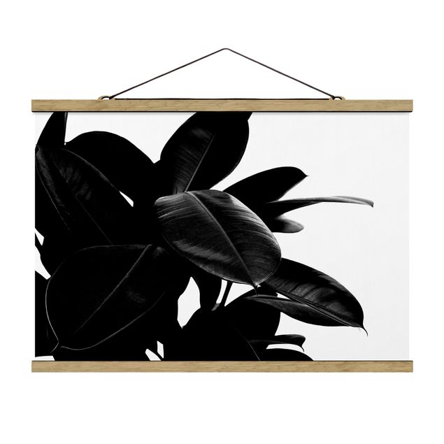 Stoffbild mit Posterleisten - Gummibaum Blätter Schwarz Weiß - Querformat 3:2