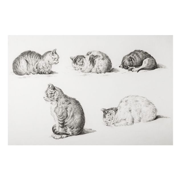 Aluminium Print gebürstet - Vintage Zeichnung Katze I - Querformat 2:3