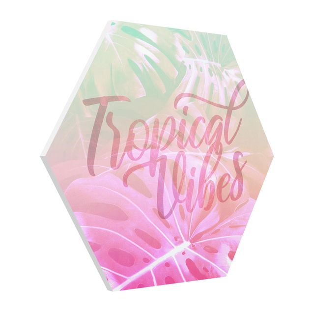 Hexagon Bild Forex - Rainbow - Tropical Vibes